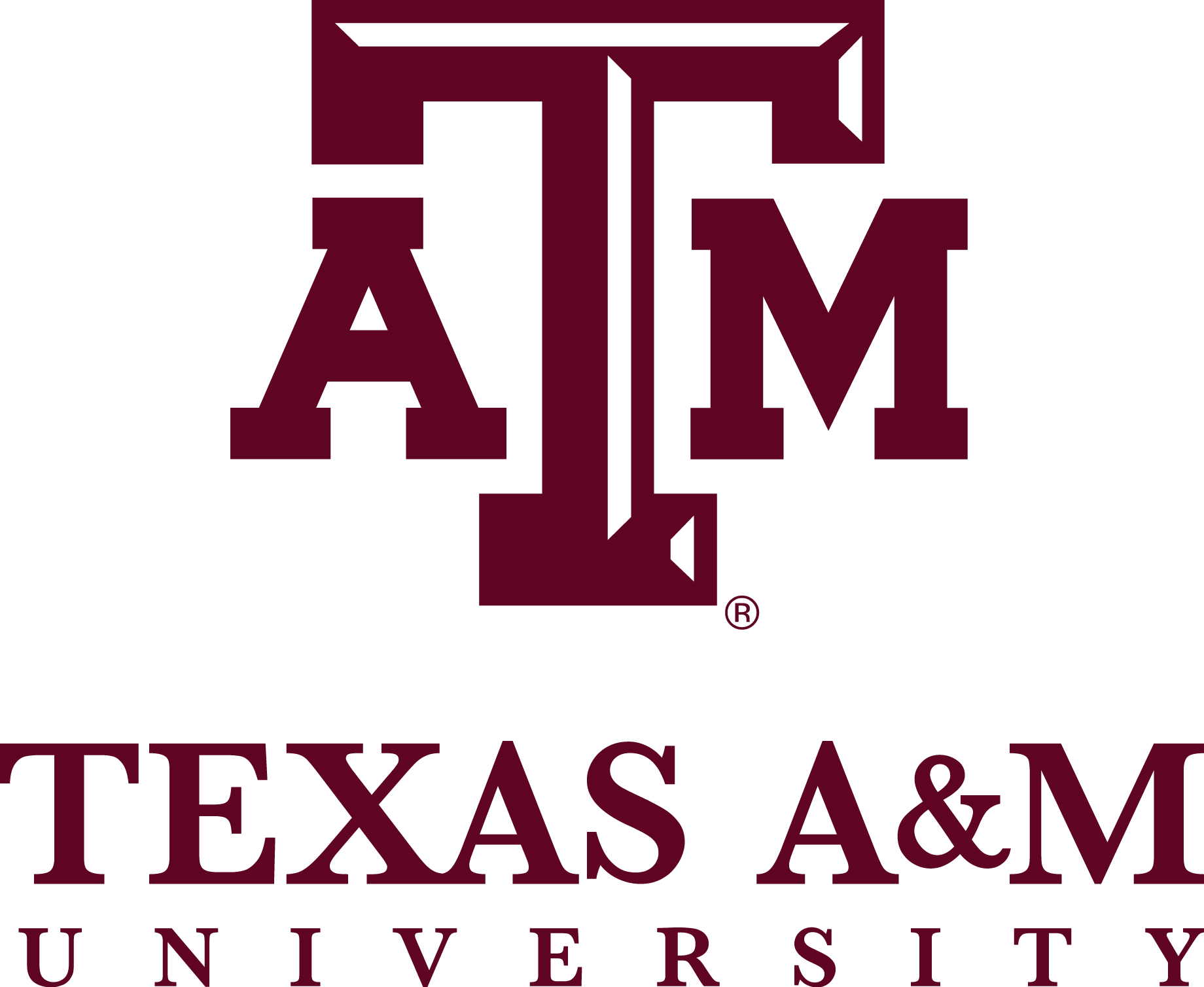 TAMU TAMU